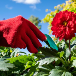 description: an image showing a pair of hands wearing gardening gloves, holding a trowel and planting a vibrant red flower in a neatly cultivated flower bed. the background features lush green foliage and a blue sky, evoking a sense of tranquility and natural beauty.