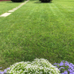 description: an anonymous image showcasing a beautiful, well-manicured lawn with lush green grass, neatly trimmed edges, and vibrant flowers. the image captures the artistry and skill of a seasoned landscaper, creating an inviting outdoor environment.