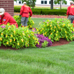 description: a team of landscapers working on a commercial property, carefully planting flowers and shrubs. they are wearing protective gear and using specialized tools to ensure precise and efficient work. the vibrant colors of the plants complement the well-manicured lawn, creating a visually stunning outdoor space.