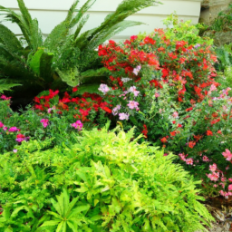 landscaping ideas for front yard